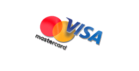 visa icon