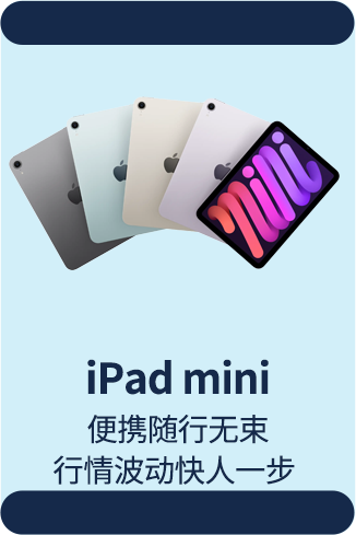 iPadmini